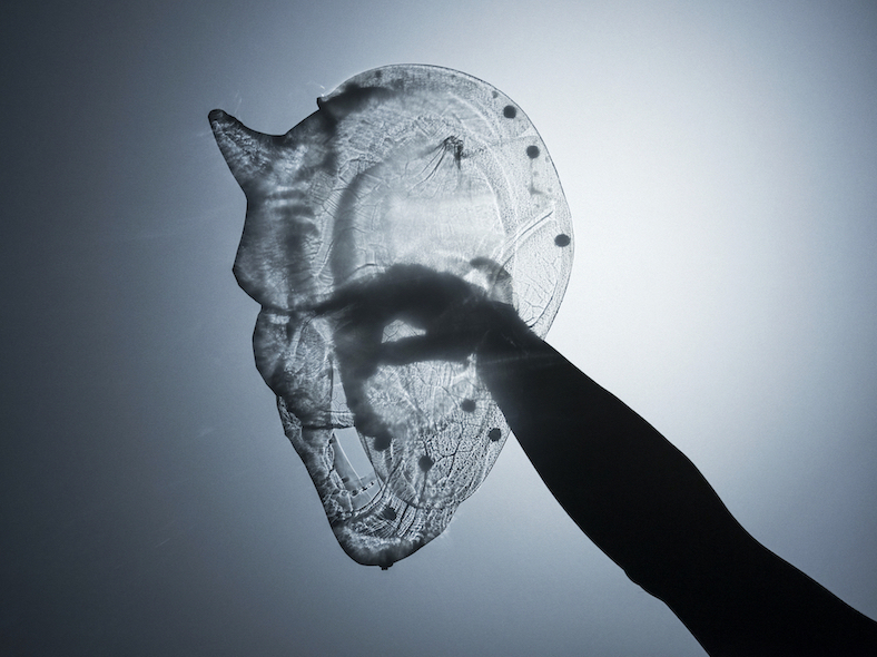 an artwork by Michael Fliri