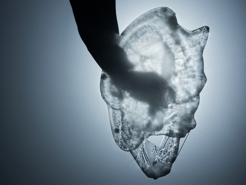 an artwork by Michael Fliri