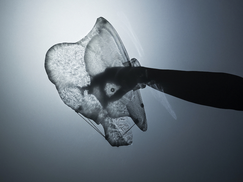 an artwork by Michael Fliri