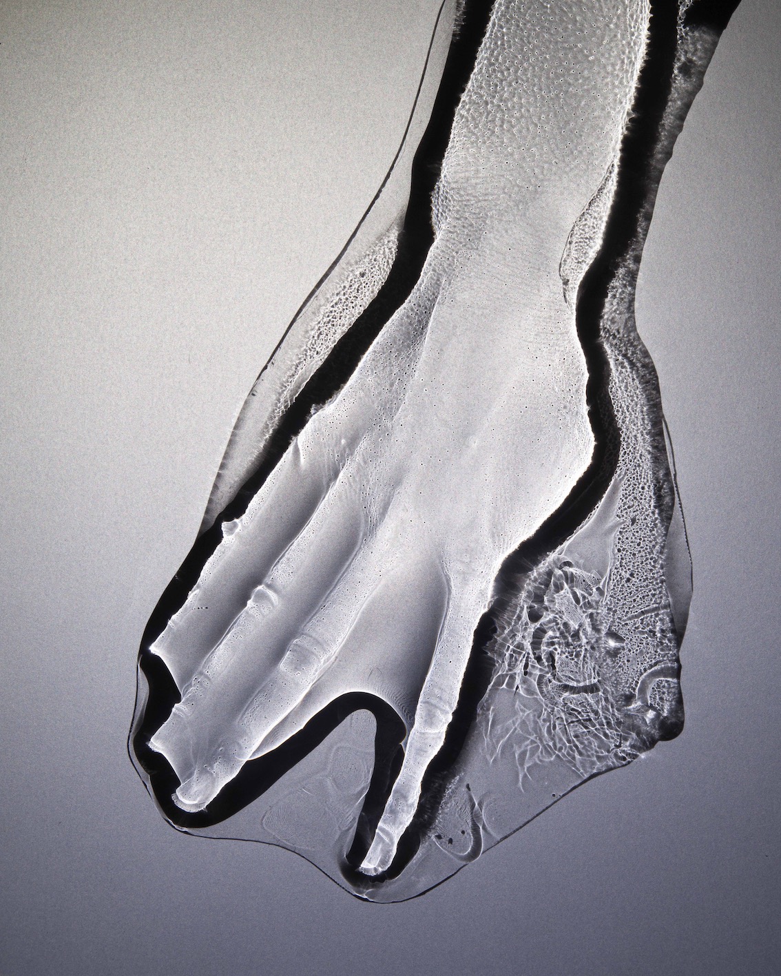 an artwork by Michael Fliri