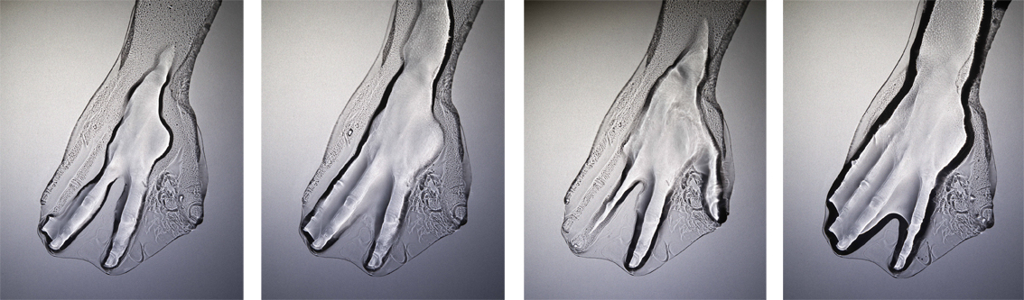 an artwork by Michael Fliri